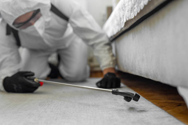 Professional Ant Control technician working in Round Lake Park, IL