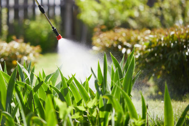 24/7 Emergency Ant Control experts in Round Lake Park, IL